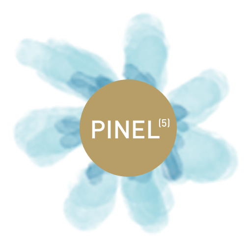 Loi pinel