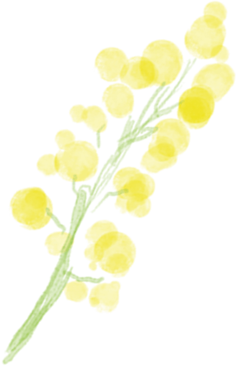 Fleurs