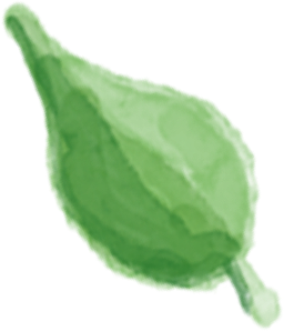 Feuille