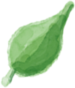 Feuille