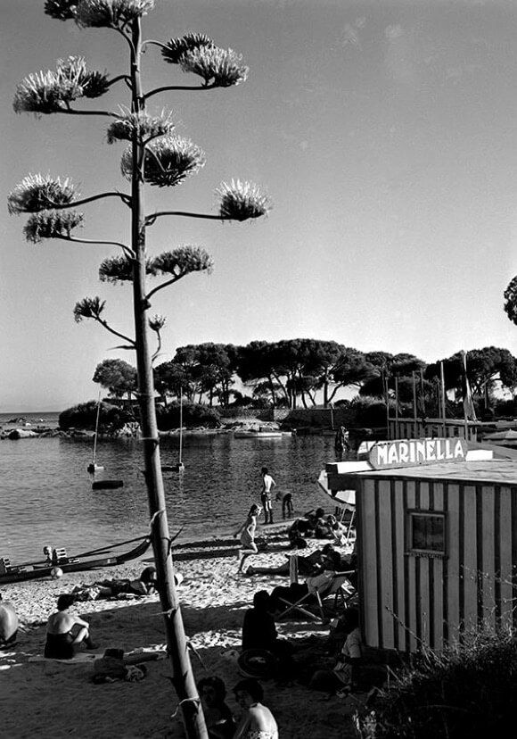 Les Rivages de Marinella